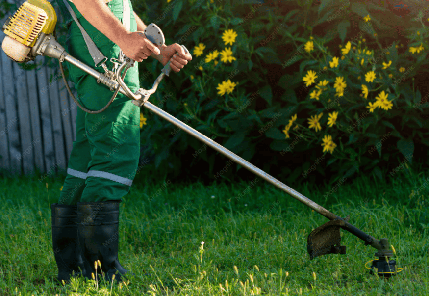 Débroussaillage obligatoire dans le Tarn et en Haute-Garonne : tout ce qu&rsquo;il faut savoir